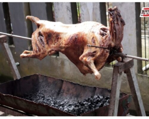 Kambing-Guling-Pak-Oleh-1